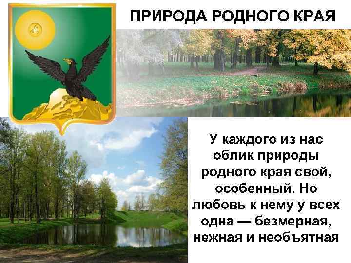 ПРИРОДА РОДНОГО КРАЯ У каждого из нас облик природы родного края свой, особенный. Но