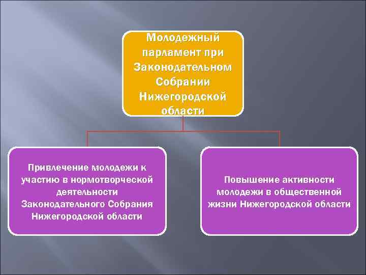 Молодежный парламент при Законодательном Собрании Нижегородской области Привлечение молодежи к участию в нормотворческой деятельности