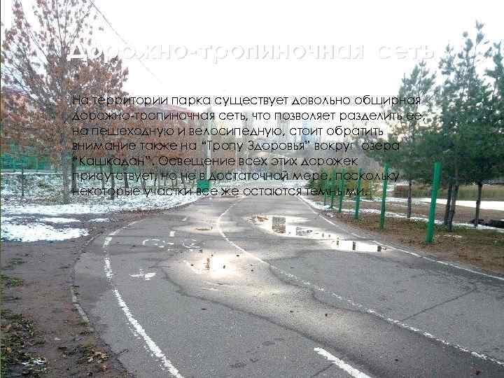 Дорожно-тропиночная сеть На территории парка существует довольно обширная дорожно-тропиночная сеть, что позволяет разделить ее,