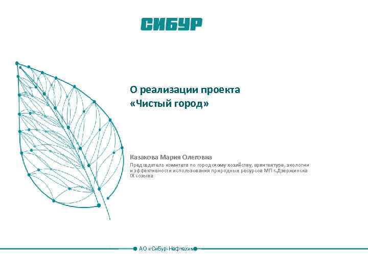 О реализации проекта «Чистый город» Казакова Мария Олеговна Председатель комитета по городскому хозяйству, архитектуре,