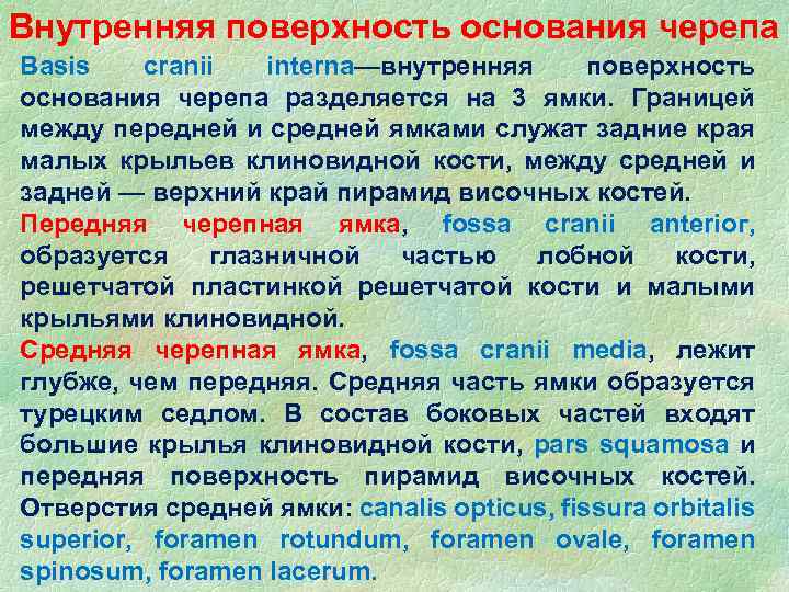 Внутренняя поверхность основания черепа Basis cranii interna—внутренняя поверхность основания черепа разделяется на 3 ямки.