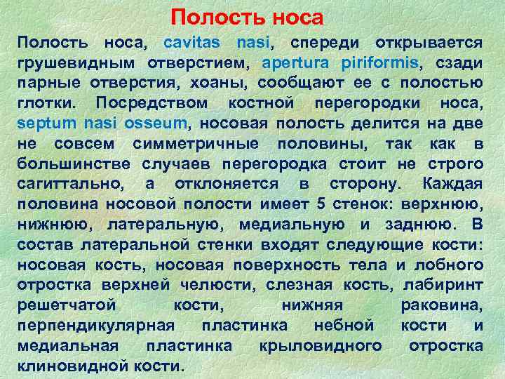 Полость носа, cavitas nasi, спереди открывается грушевидным отверстием, apertura piriformis, сзади парные отверстия, хоаны,