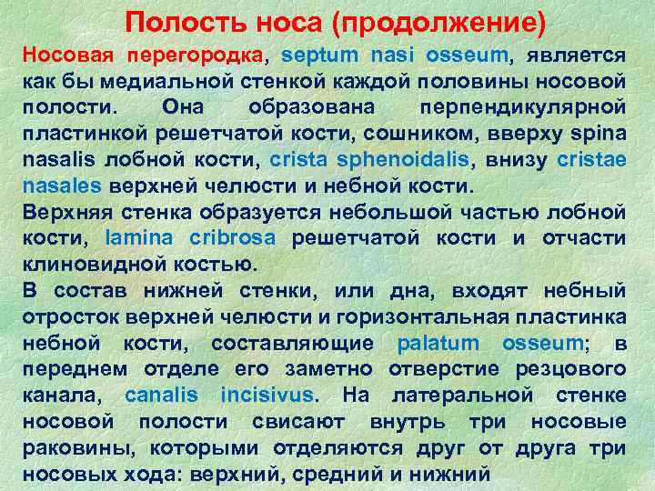 Полость носа (продолжение) Носовая перегородка, septum nasi osseum, является как бы медиальной стенкой каждой