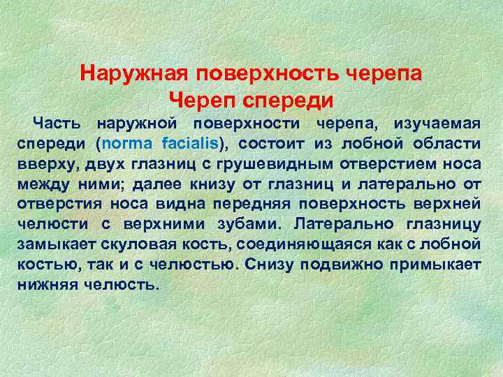 Наружная поверхность черепа Череп спереди Часть наружной поверхности черепа, изучаемая спереди (norma facialis), состоит