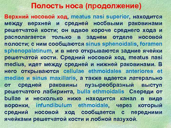 Полость носа (продолжение) Верхний носовой ход, meatus nasi superior, находится между верхней и средней