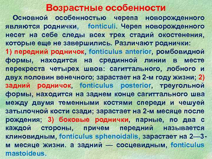 Возрастные особенности Основной особенностью черепа новорожденного являются роднички, fonticuli. Череп новорожденного несет на себе