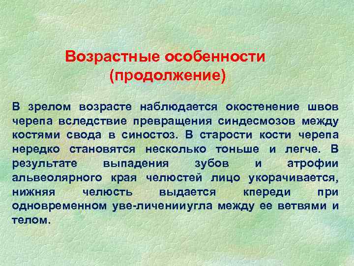 Возрастные особенности (продолжение) В зрелом возрасте наблюдается окостенение швов черепа вследствие превращения синдесмозов между