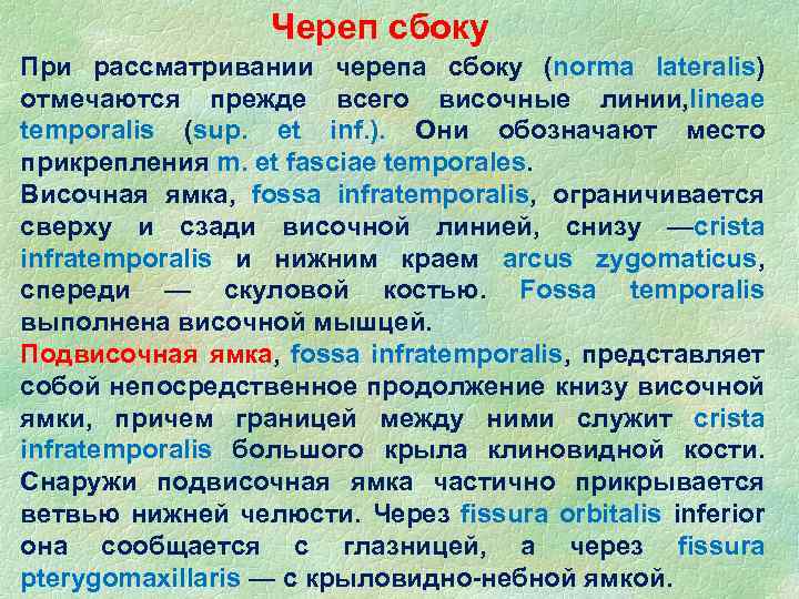 Череп сбоку При рассматривании черепа сбоку (norma lateralis) отмечаются прежде всего височные линии, lineae