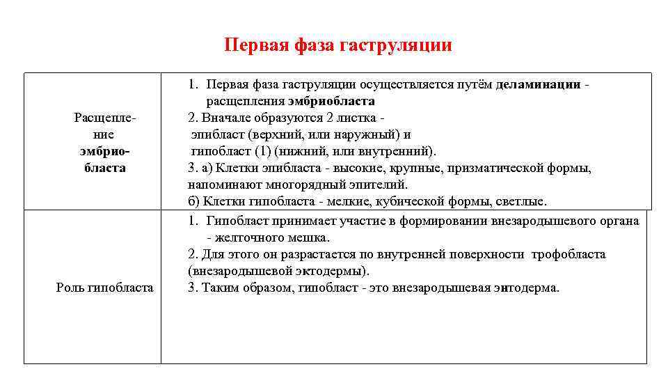  Первая фаза гаструляции Расщепле ние эмбриобласта Роль гипобласта 1. Первая фаза гаструляции осуществляется