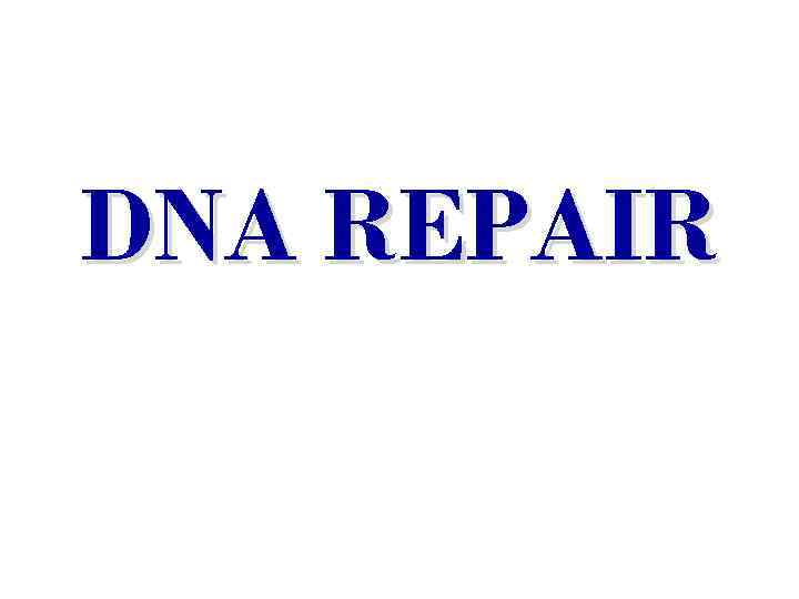 DNA REPAIR 