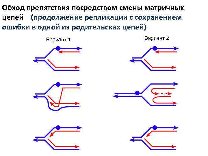 Обход препятствия посредством смены матричных цепей (продолжение репликации с сохранением ошибки в одной из