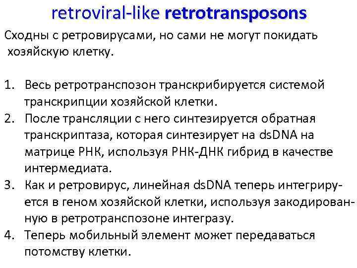 retroviral-like retrotransposons Сходны с ретровирусами, но сами не могут покидать хозяйскую клетку. 1. Весь