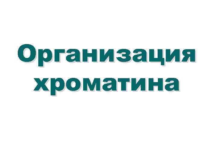 Организация хроматина 