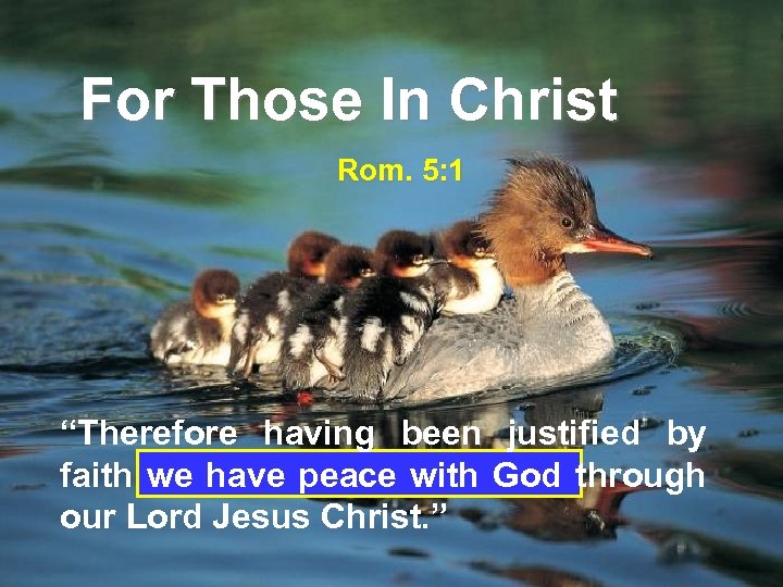 For Those In Christ Rom. 5: 1 “Therefore having been justified by faith we