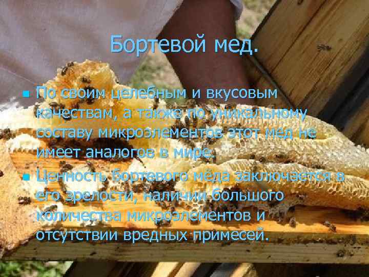 Бортевой мед. n n По своим целебным и вкусовым качествам, а также по уникальному
