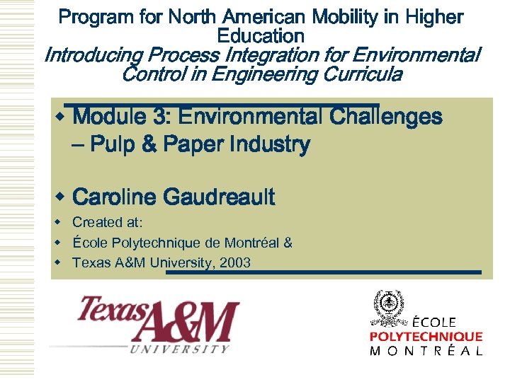 Program for North American Mobility in Higher Education Introducing Process Integration for Environmental Control