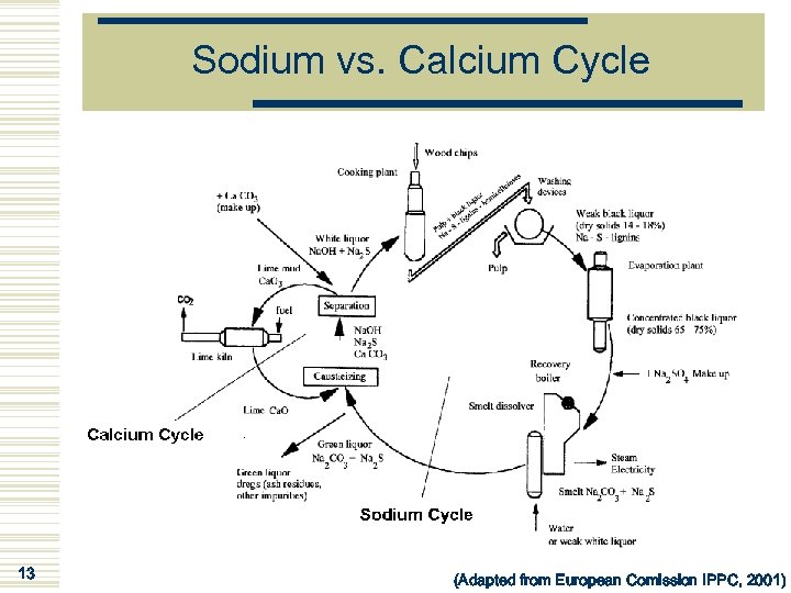 Sodium vs. Calcium Cycle 13 (Adapted from European Comission IPPC, 2001) 