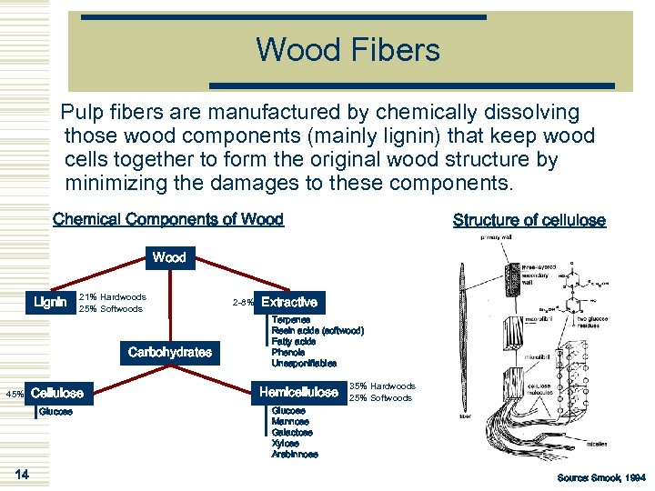 Wood Fibers Pulp fibers are manufactured by chemically dissolving those wood components (mainly lignin)