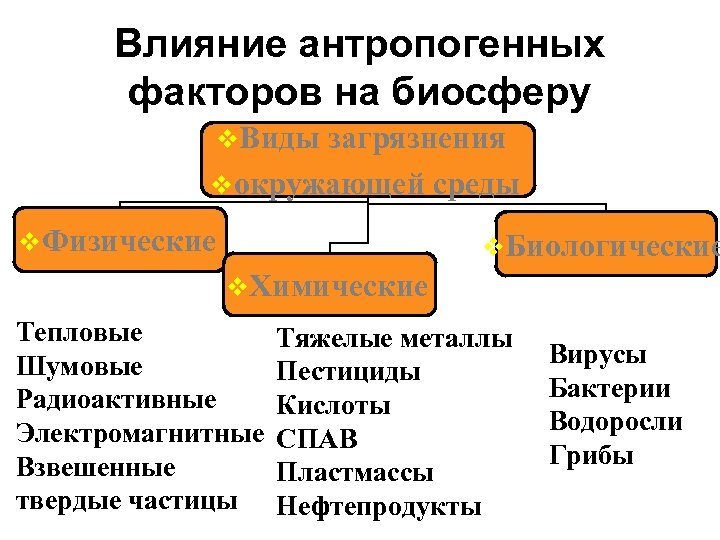 Влияние антропогенных факторов на биосферу v. Виды загрязнения vокружающей среды v. Физические v. Биологические