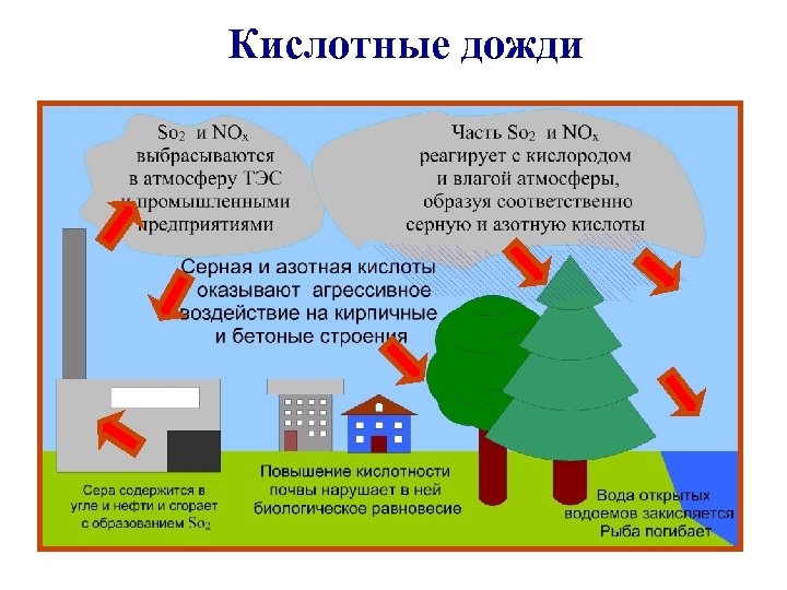 Кислотные дожди образуются в результате