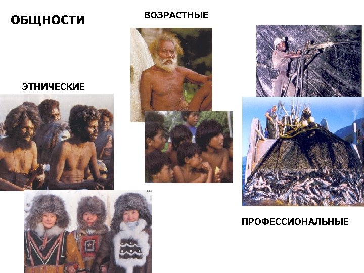 ОБЩНОСТИ ВОЗРАСТНЫЕ ЭТНИЧЕСКИЕ ПРОФЕССИОНАЛЬНЫЕ 