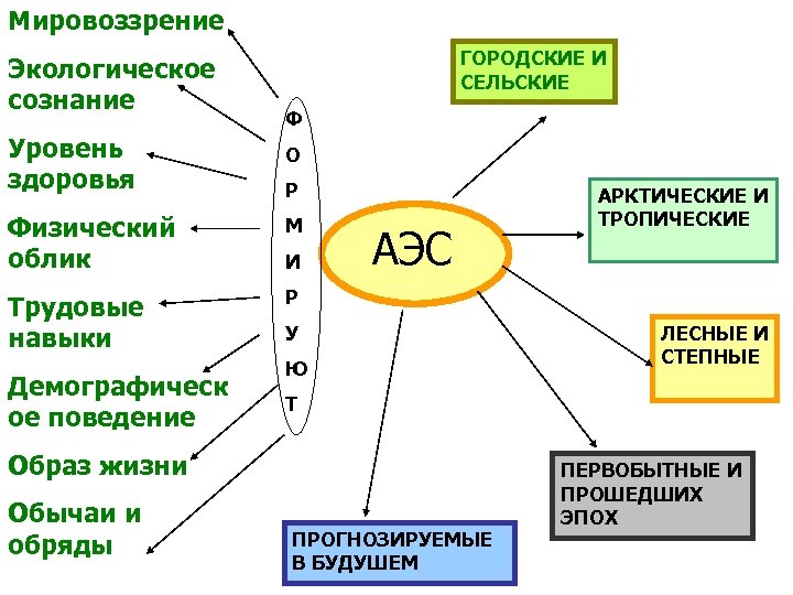 Мировоззрение Экологическое сознание Уровень здоровья ГОРОДСКИЕ И СЕЛЬСКИЕ Ф О Р Физический облик М