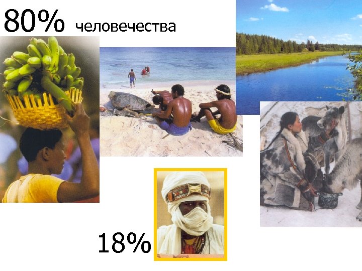 80% человечества 18% 