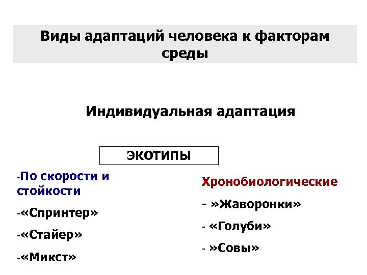 Индивидуальной адаптации. Адаптация человека к факторам среды. Факторы адаптации человека. Типы индивидуальной адаптации. Основные виды адаптации человека к факторам среды.