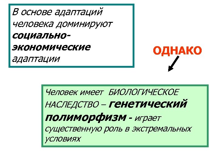 В основе адаптаций человека доминируют социальноэкономические адаптации ОДНАКО Человек имеет БИОЛОГИЧЕСКОЕ НАСЛЕДСТВО – генетический