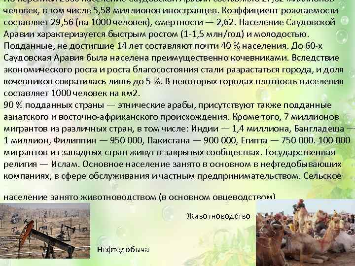 По переписи 2006 население Саудовской Аравии составляло 27, 02 миллионов человек, в том числе