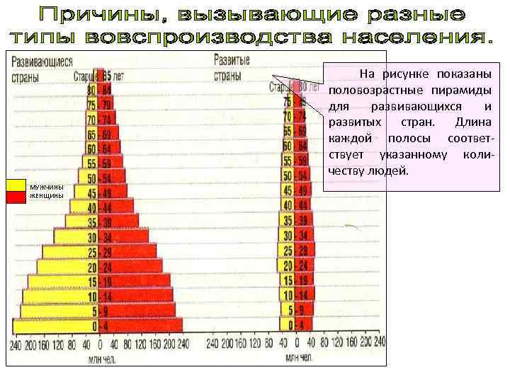 Сравните показания пирамид на рисунке 90 какие изменения в половозрастном составе населения россии