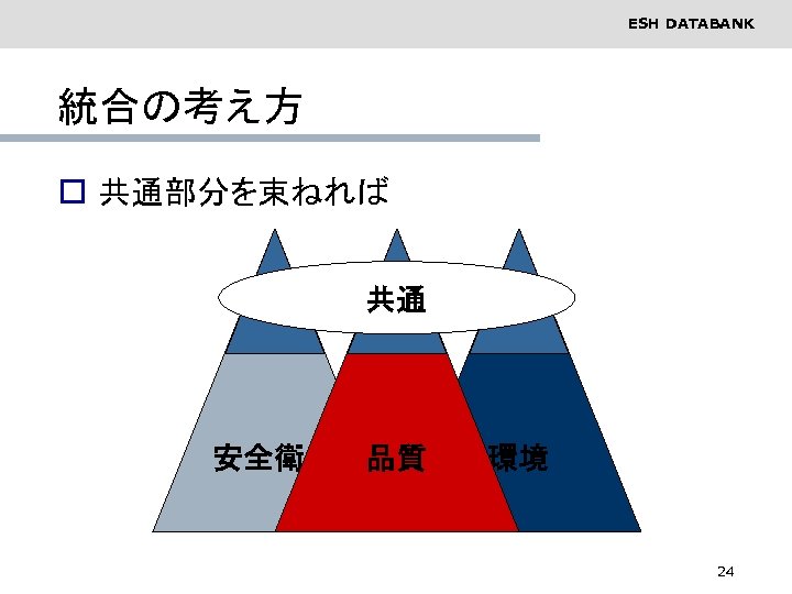 ESH DATABANK 統合の考え方 o 共通部分を束ねれば 共通 安全衛生 品質 環境 24 