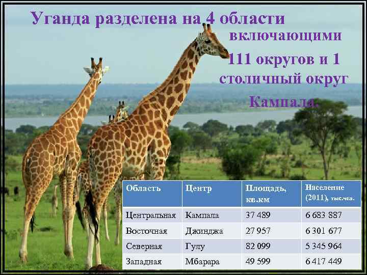 Уганда разделена на 4 области включающими 111 округов и 1 столичный округ Кампала. Область