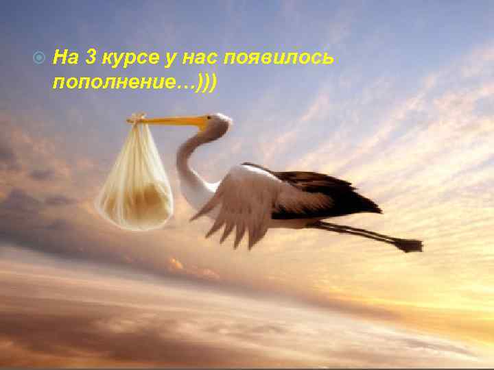  На 3 курсе у нас появилось пополнение…))) 