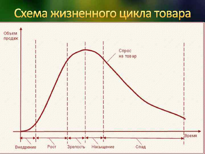 Схема жизненного цикла товара 