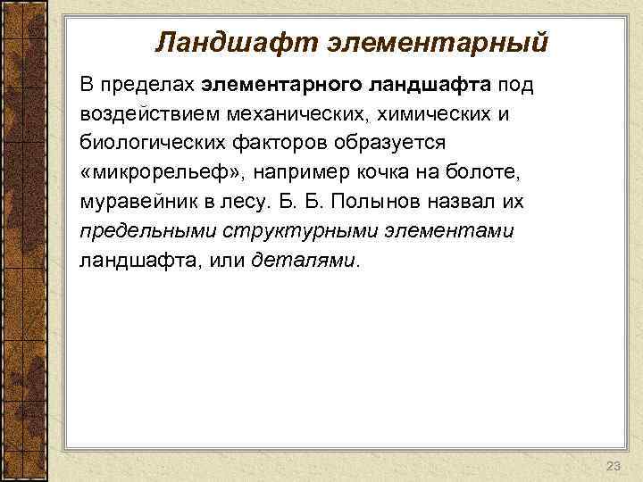 Ландшафт элементарный В пределах элементарного ландшафта под воздействием механических, химических и биологических факторов образуется