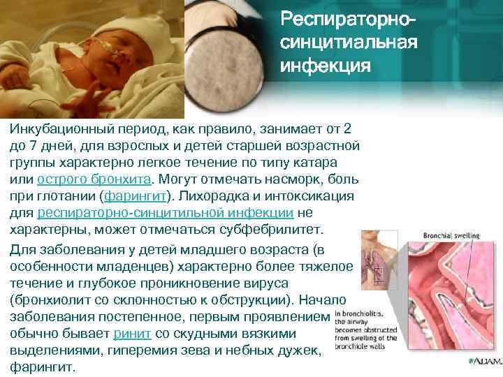 Респираторносинцитиальная инфекция Инкубационный период, как правило, занимает от 2 до 7 дней, для взрослых