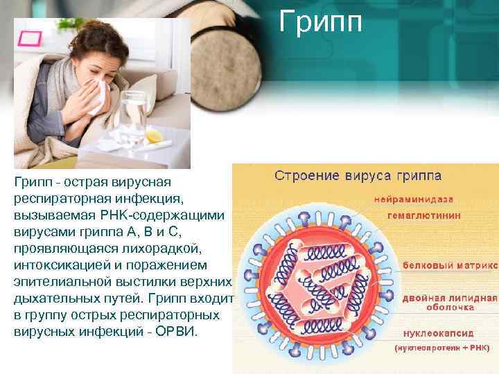  • Грипп – острая вирусная респираторная инфекция, вызываемая РНК-содержащими вирусами гриппа А, В