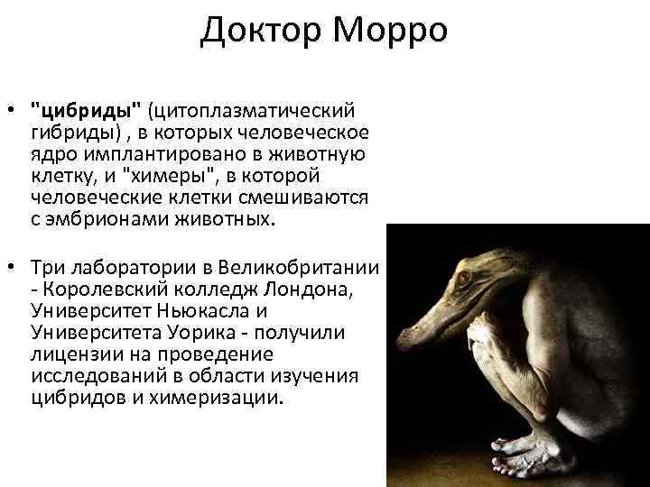 Доктор Морро • 