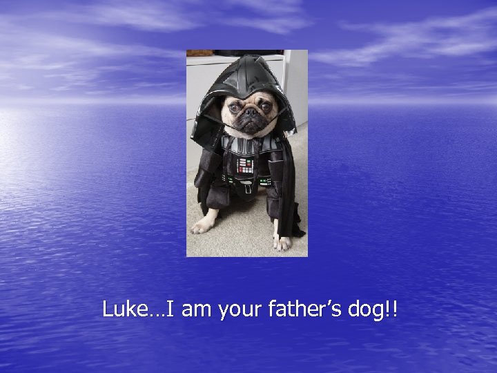 Luke…I am your father’s dog!! 