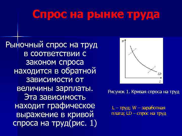 Спрос на рынке труда Рыночный спрос на труд в соответствии с законом спроса находится