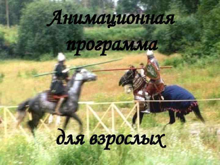 Анимационная программа для взрослых 