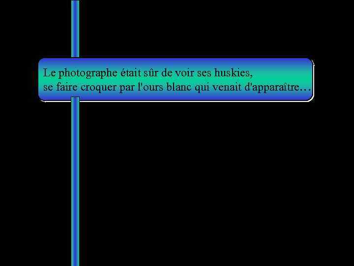 Le photographe était sûr de voir ses huskies, se faire croquer par l'ours blanc