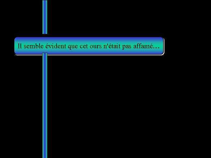 Il semble évident que cet ours n'était pas affamé… 