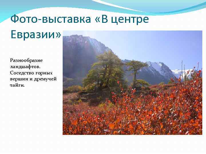 Фото-выставка «В центре Евразии» Разнообразие ландшафтов. Соседство горных вершин и дремучей тайги. 