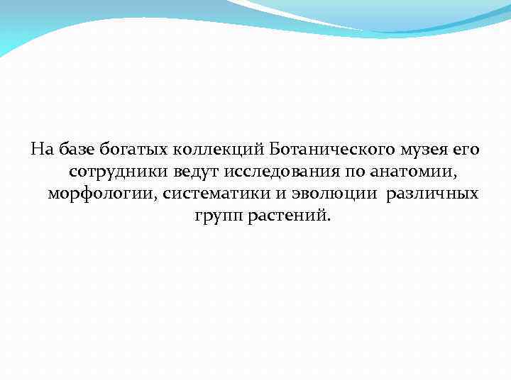 На базе богатых коллекций Ботанического музея его сотрудники ведут исследования по анатомии, морфологии, систематики