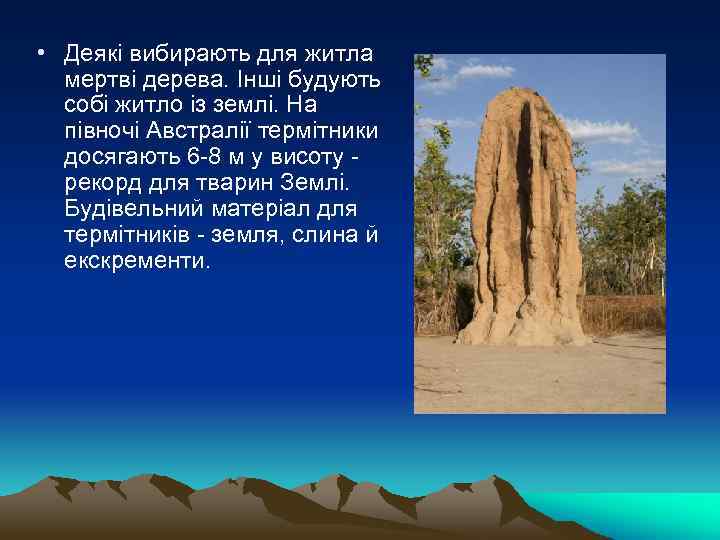  • Деякі вибирають для житла мертві дерева. Інші будують собі житло із землі.