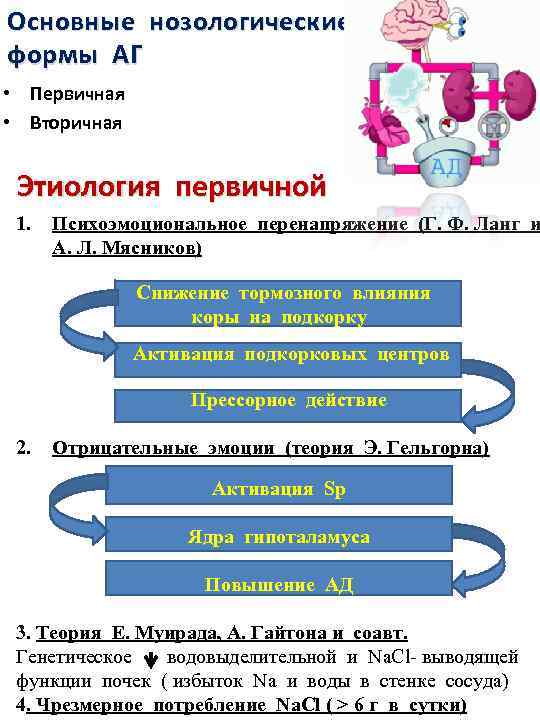 Основные нозологические формы АГ • Первичная • Вторичная Этиология первичной 1. Психоэмоциональное перенапряжение (Г.