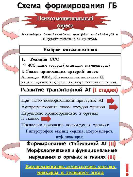 Схема формирования ГБ Психоэмоциональный стресс Активация симпатических центров гипоталамуса и сосудодвигательного центров Выброс катехоламинов