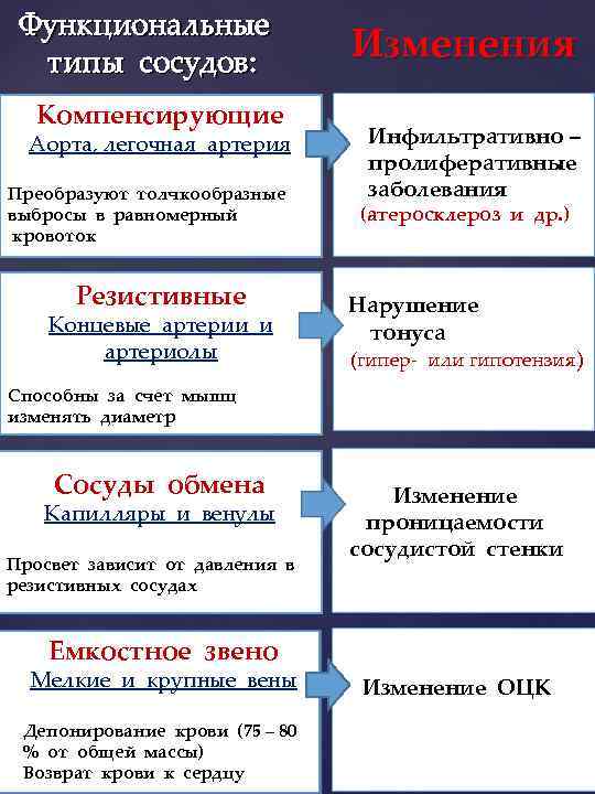 Функциональные типы сосудов: Компенсирующие Аорта, легочная артерия Преобразуют толчкообразные выбросы в равномерный кровоток Резистивные